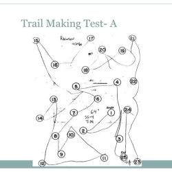 D kefs trail making test