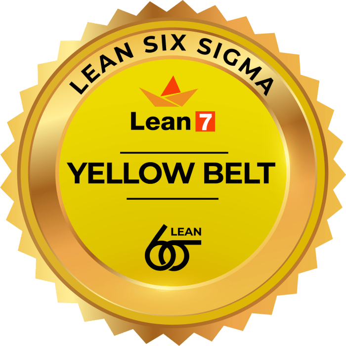 Six sigma yellow belt practice exam