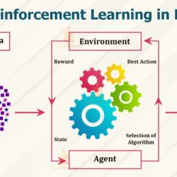 Lesson 11.3 learning the key terms