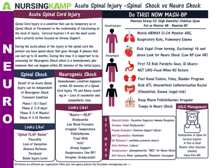 Nclex questions for spinal cord injury