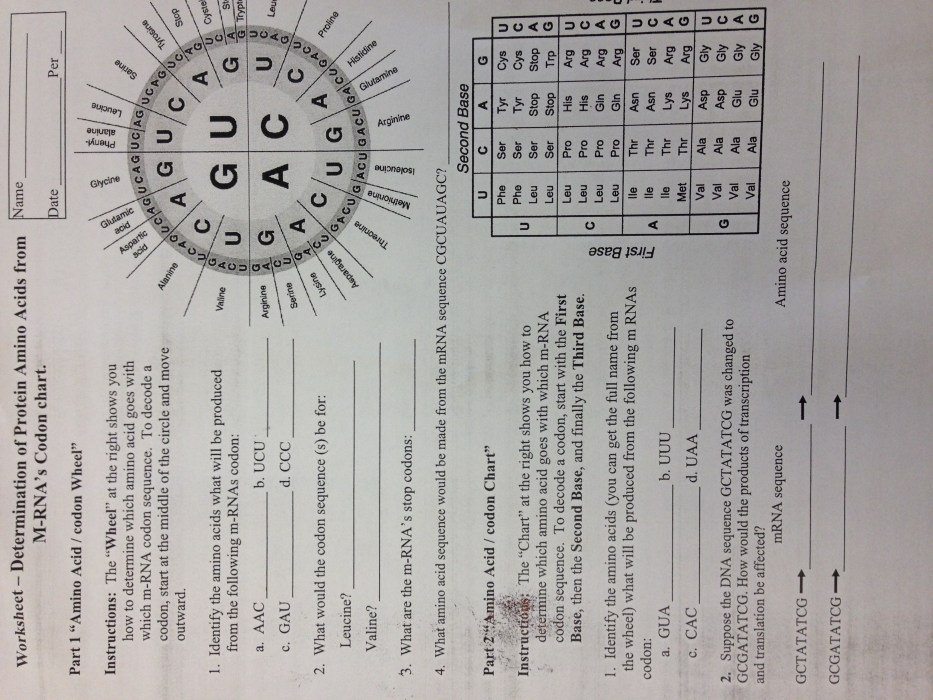 Energy conversions gizmo answer key