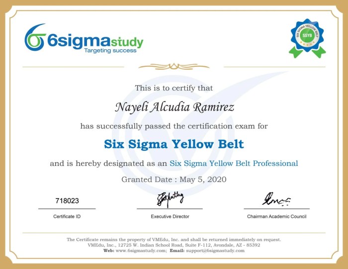 Six sigma yellow belt practice exam