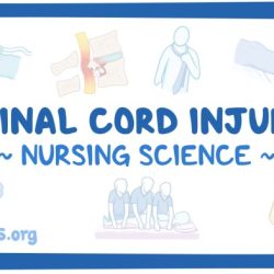 Spinal injury cord nclex