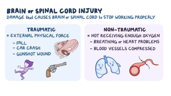 Nclex questions for spinal cord injury