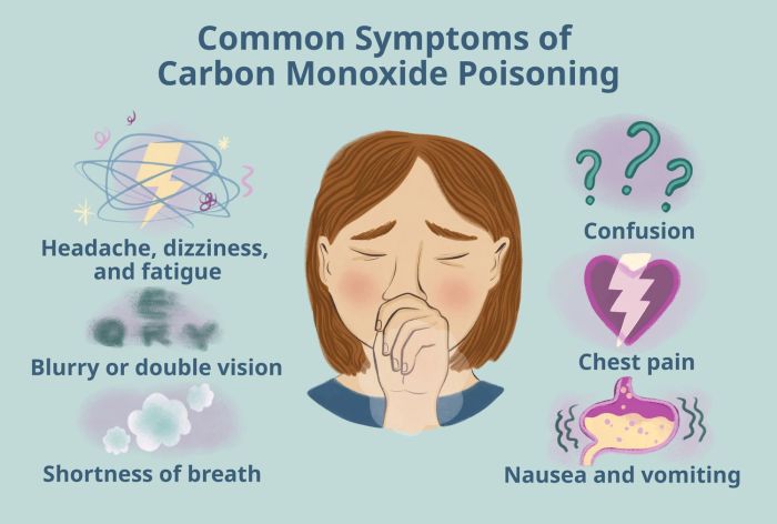 Early symptoms of carbon monoxide poisoning boater exam