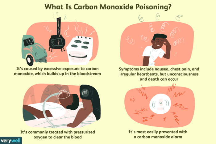 Monoxide poisoning safelincs appear