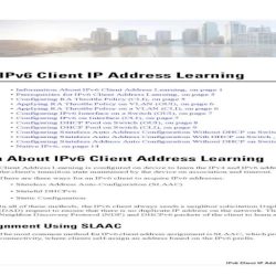 A company uses the method slaac to configure ipv6 addresses