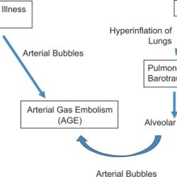 Lung overexpansion injuries can be caused by