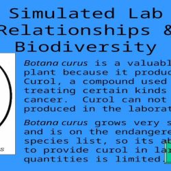 Laboratory activity 1 relationships and biodiversity